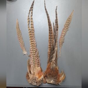 Ring Tailed Pheasant Natural Feather Bundle